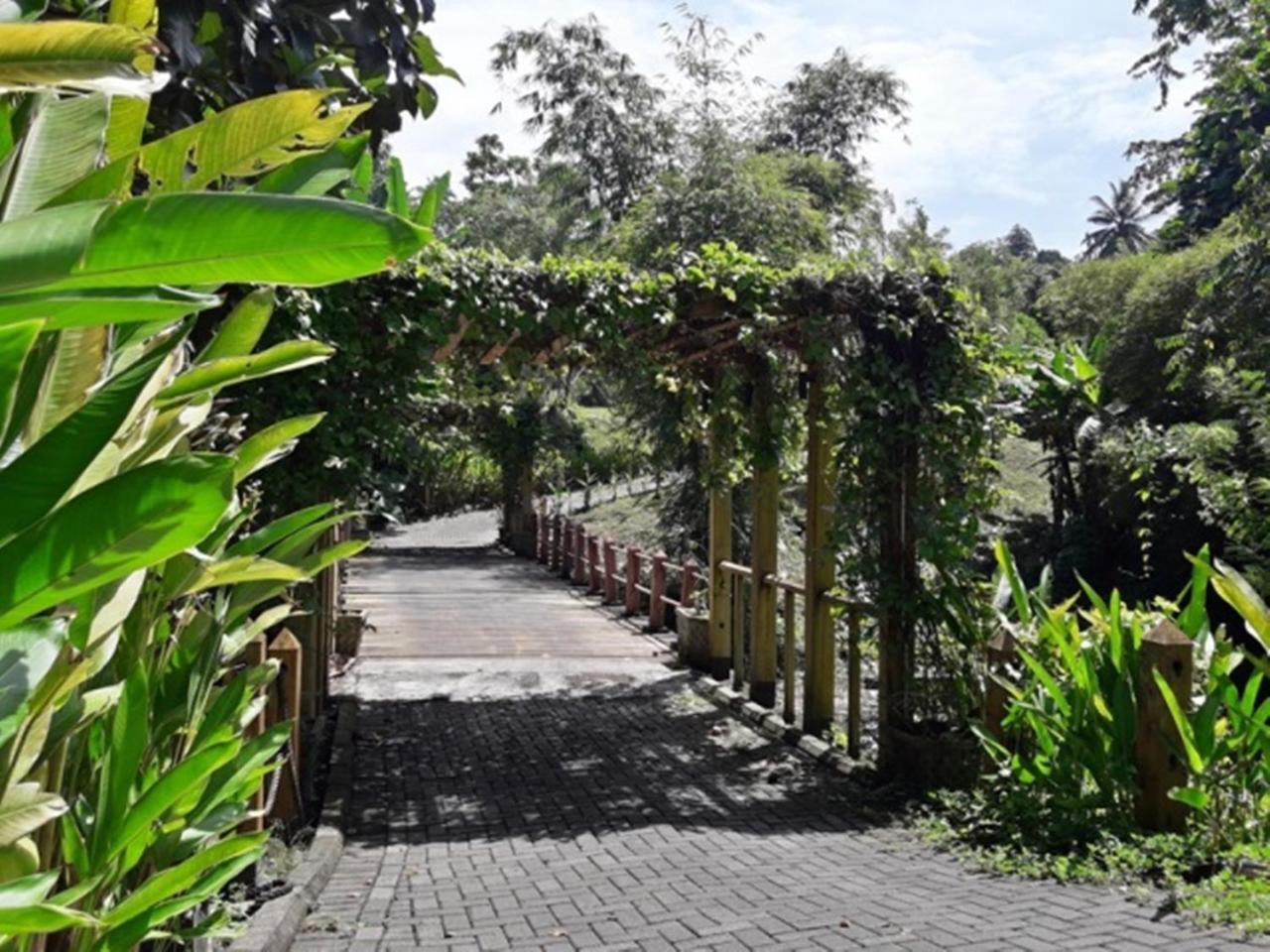 Hébergement de vacances Botanica Nature *