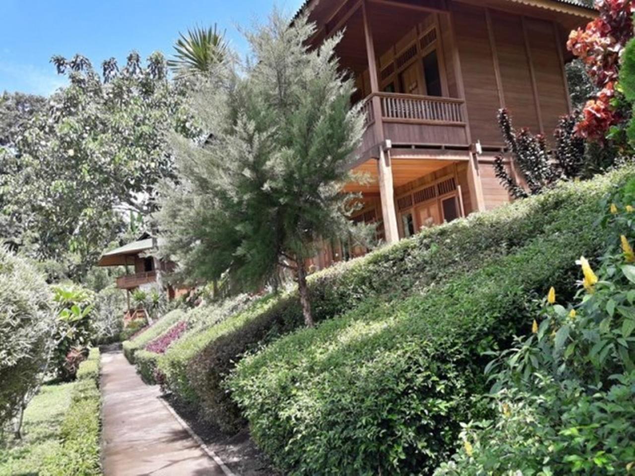 Botanica Nature Hébergement de vacances Bitung